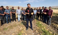 Afyon’da patates üreticisi feryat etti: Kanserin dördüncü evresindeyiz!