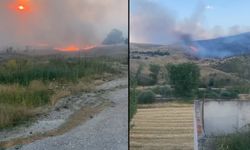 Afyon-Kütahya yolunda yangın: Ağaçlık ve otluk alan yanıyor! Büyük bir alan kül oldu…