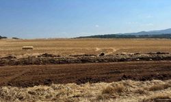 Bilecik Pazaryeri’nde Tarımsal Verimlilik İçin Büyük Arazi Toplulaştırma Projesi Başladı