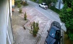 Deprem Anında Kaçan Kedi, Güvenlik Kameralarına Yansıdı