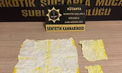 Kütahya’da 7.952 İçimlik Bonzai Ele Geçirildi