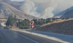 Afyon Bolvadin’de orman yanıyor: Alevler yayıldı, dumanlar gökyüzünü kapladı