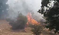 Afyon’da meşelik alan yanıyor: Helikopter ile müdahale başladı