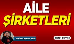 AİLE ŞİRKETLERİ