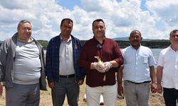 Afyon'da Frigya Sulama Göleti’ne 100 Ördek Bırakıldı