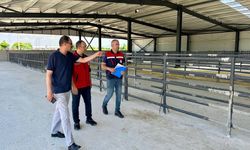 Afyon'da bir hayvan pazarı daha açılıyor: Şehrin en büyük ilçelerinden biri...