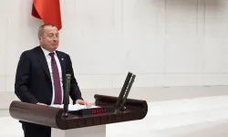 İYİ Partili Olgun TBMM'de: "Çiftçi Tüccarın Eline Bırakıldı, Her Şartta Zarar Ediyor"
