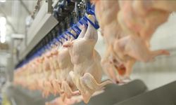 Beyaz et soruşturmasında 29 isme adli kontrol ve yurt dışı yasağı