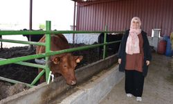 Afyon’da devlet desteği alan genç kadın besiciliğe başladı: "Bir kadın üretici olarak örnek olacağım"