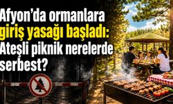 Afyon’da ormanlara giriş yasağı başladı: Ateşli piknik nerelerde serbest?
