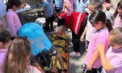Sağlıklı Çocuk Sağlıklı Gelecek programı tamamlandı: Afyon’da 9 bin 170 öğrenciye ulaşıldı