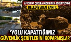 Afyon’da çukura düşen inek görüntüsüne belediyeden yanıt: “Yolu kapattığımız güvenlik şeritlerini koparmışlar”