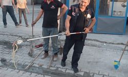 Afyon'da yılan paniği: Hareket halindeki aracın deposuna girdi