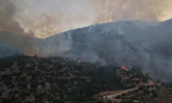 Antalya ve Muğla'daki orman yangınlarıyla mücadele sürüyor: Havadan ve karadan müdahale ediliyor, evler tahliye edildi!