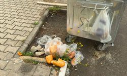 Konteyner boşken çöpler neden sokakta? Bolvadin'de vatandaşlar tepkili