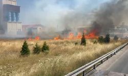 Afyon Emirdağ'da anız yangını: Yoğun duman trafiği aksattı!