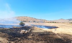 Afyon Sandıklı'da anız yangını: 200 dekar alan zarar gördü!