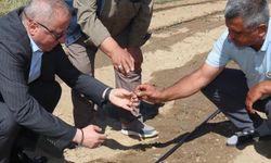 İYİ Partili Olgun: "Alın terinin karşılığını alamayan tüm çiftçilerimiz için dualarımız sizinle"