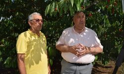 İYİ Partili Mısırlıoğlu: "25 liraya kiraz alınmaz, bu üreticiye 'üretme' demektir!"