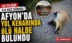 40 yıldır ilk kez gördü: Afyon’da yol kenarında ölü halde bulundu