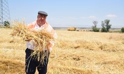 İYİ Partili Mısırlıoğlu Çobanlar'dan seslendi: "Çiftçi üretiyor ama kazanamıyor bu düzen sürdürülemez!"