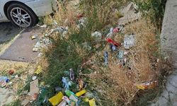 Afyon'da Kanlıca TOKİ’de yangın endişesi: “Bir sigara izmariti faciaya yol açabilir”