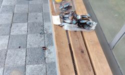 Afyon'da pes dedirten görüntü: “Midye kabukları durakta bırakanlar bulunsun, cezalandırılsın”