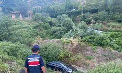 Bilecik'te Otomobil Dere Yatağına Uçtu: Sürücü Yaralandı