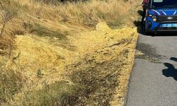 Bilecik'te Sigara İzmariti Yangına Neden Oldu