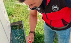 Afyon'da Haziran Böceğiyle Mücadele Sürüyor