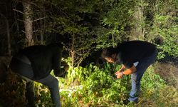 Kütahya’da ormanda silahlı yaralama: 1 kişi yakalandı
