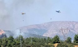 Bilecik Son Dakika: Bilecik’te orman yangını! Alevlere havadan müdahale