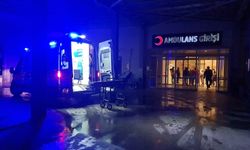 Minibüs tarlaya uçtu: Genç sürücü hayatını kaybetti