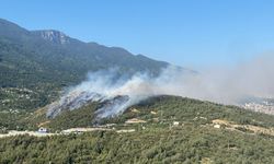 Son Dakika Bursa: Uludağ’ın etekleri alevlere teslim