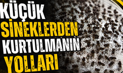 Küçük sineklerden kurtulmanın yolları