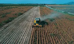 Afyon’da çiftçilere 5 milyon TL’lik buğday tohumu desteği: Merkez dahil 18 ilçede dağıtılacak!
