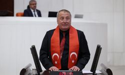 İYİ Partili Olgun'dan Çerçeve Yasa eleştirisi: "Son virajdayız hâlâ vakit varken bu yanlıştan dönün”