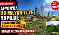 Afyon’da 110 milyon TL’ye yapıldı: Otlar büyüdü, ağaçlar kurumaya başladı, burası ne zaman açılacak?