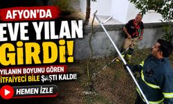 Afyon’da eve yılan girdi: Yılanın boyunu gören itfaiyeci bile şaştı kaldı!