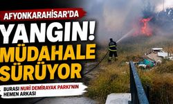 Afyon’da Nuri Demirayak Parkı’nın arkasında ot yangını