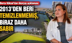 Burcu Köksal’dan Akarçay açıklaması: 2013’den beri temizlenmemiş, biraz daha sabır