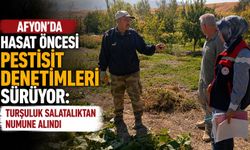 Afyon'da hasat öncesi pestisit denetimleri sürüyor: Turşuluk salatalıktan numune alındı