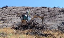 Afyon'da 75 hektarlık ormanlık alan yanmıştı: Ağaçlandırma çalışmaları sürüyor