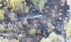 Gölhisar'da Orman Yangını: 50 Dönüm Zarar Gördü, Alevler Dronla Görüntülendi
