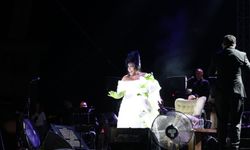 28. Uluslararası Elma Festivali: Bülent Ersoy Konseriyle 50 Bin Kişi Coştu