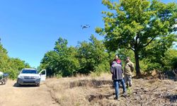 Afyon’da kaybolan 9 büyükbaş için dron havalandı: Kısa sürede bulundular