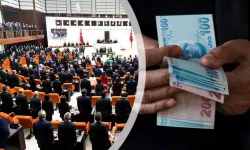 Afyon için de önemli: Kademeli emeklilik teklifinde Burcu Köksal’ın da imzası var