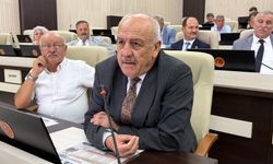 MHP’li Ahmet Zeki Ertürk: “Küçük Çobanlı Köyü müşkül durumda”