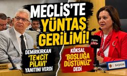 Meclis'te Yüntaş gerilimi: Köksal 'boşluğa düştünüz' dedi, Demirkırkan 'temcit pilavı' yanıtını verdi