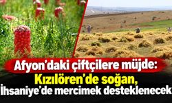 Afyon’daki çiftçilere müjde: Kızılören'de soğan, İhsaniye'de mercimek desteklenecek